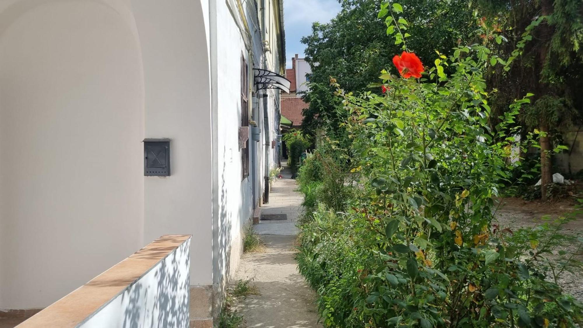 Apartamento Eroilor Downtown